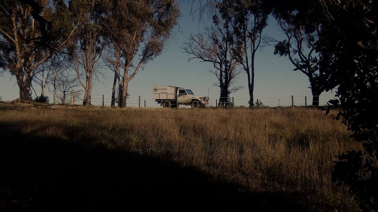 Tree permit information Ballarat