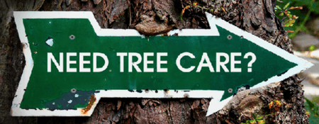 A tree care sign